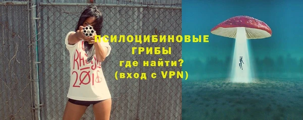 a pvp Вяземский